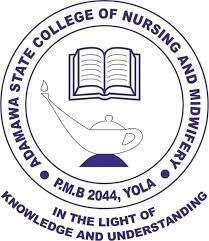 school of nursing yola logo,school of nursing yola school fees 