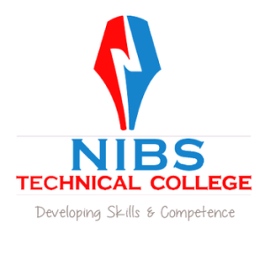 nibs college courses and fee structure,nibs college, nibs college logo 