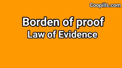 Borden of proof