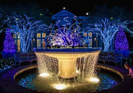 atlanta botanical gardens lights